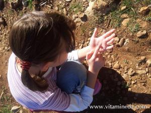 Tlemcen Ballade en Fôret du petit perdreau du coté de Sidi Abdellah El Baal vers El Ourit