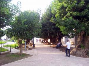 La place de Cherchell (Caesarée)