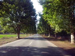 Route de Sidi Amar vers Cherchell (Caesarée)