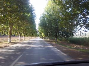 Route vers Cherchell (Caesarée)