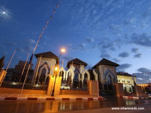 Le Centre des études andalouses de Tlemcen ... A quoi il sert?