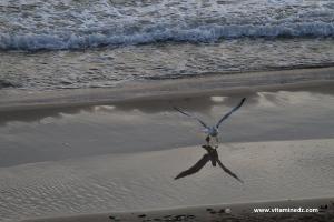 Cap falcon, avec ses plages et ses hôtels