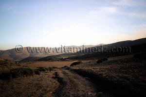 Descente sur piste à partir de Beni Add vers Mezoughan, Oued Chouly