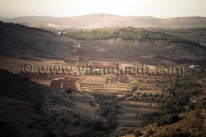 Champs entre 2 collines, Aïn Fezza