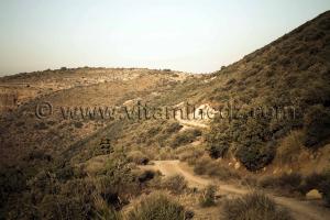 Au pays des Beni Ouarnid (Terny, Djbel Nador, Mafrouch, Sidi Hafif ...)