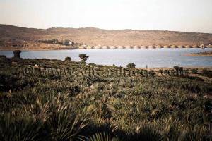 El Mefrouch coté sud