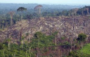 Planète - Brésil: un scientifique appelle à un «effort de guerre» pour sauver l'Amazonie