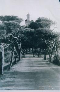 Boumerdes, Dellys Cap Bengut ou le Grand Phare de Dellys