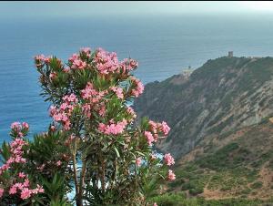 Skikda,  le phare du Cap Bougaroun