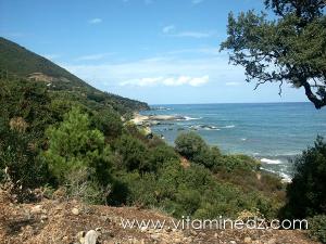 Skikda ; Cap Bougaroun, photo prise le 19 Septembre 2005