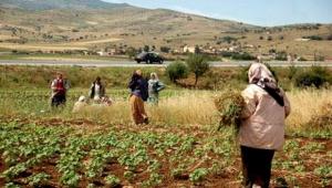 Guelma - Appel à la création d’un réseau national de conseillères agricoles chargé de la femme rurale
