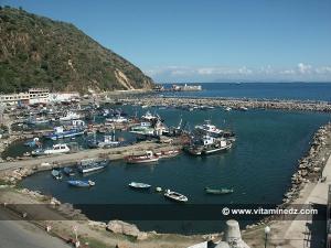 Skikda  Port de Stora et Phare Molot (Ilot des singes)
