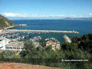Skikda  Port de Stora et Phare Molot (Ilot des singes)