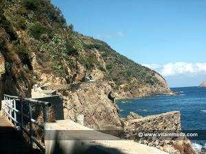 Skikda  chemin escarpé Port de Stora et Phare Molot (Ilot des singes)