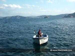 Skikda, île de Srigina en septembre 2005