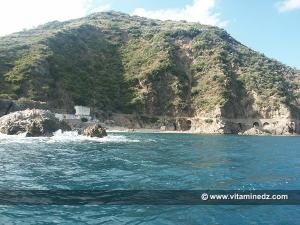 Skikda, Ravin des singes