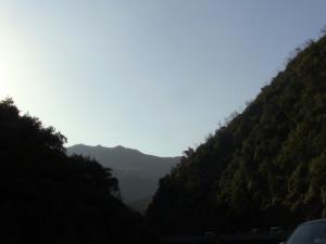 Le parc national de Chréa