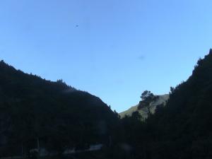 Le parc national de Chréa