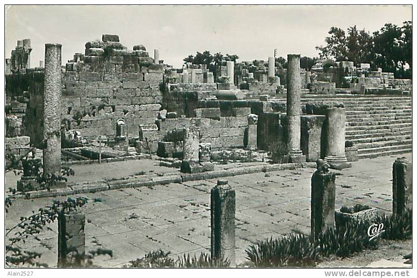 Les ruines de la basilique de Tébessa