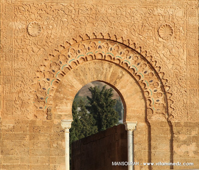 Tlemcen - Porte de la mosquée -  Al Mansourah