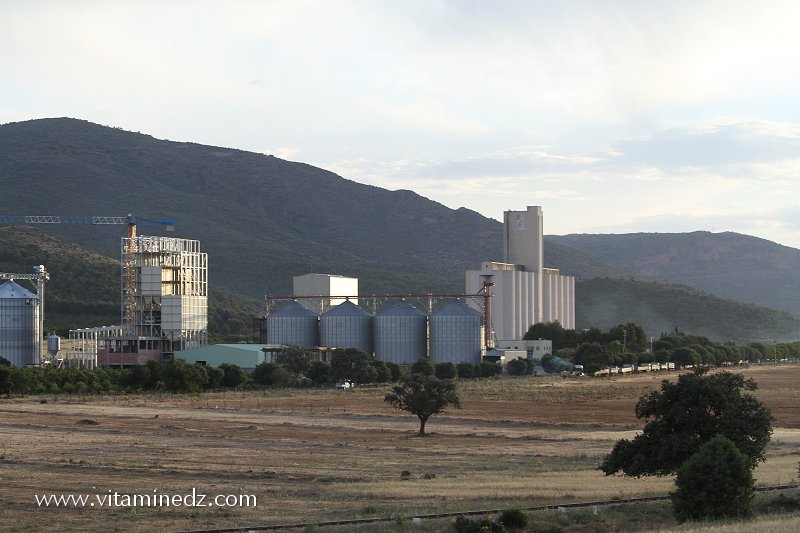 Minoterie El Alf, du Groupe Kherbouche , aliments de bétail Commune de Ain Fezza (Tlemcen)