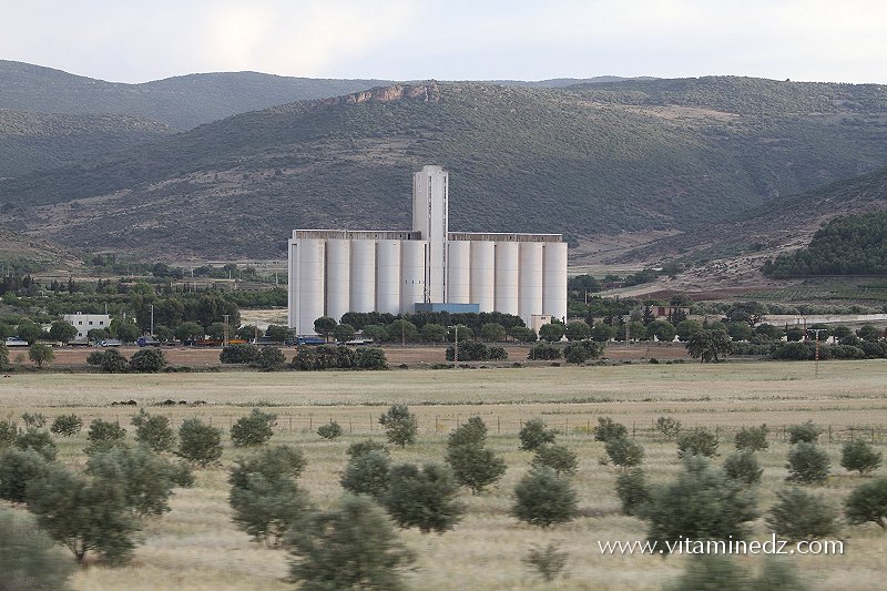 Silos à grains ERIAD - Commune de Ain Fezza (Tlemcen)