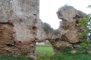Ruines romaines à Azzefoun