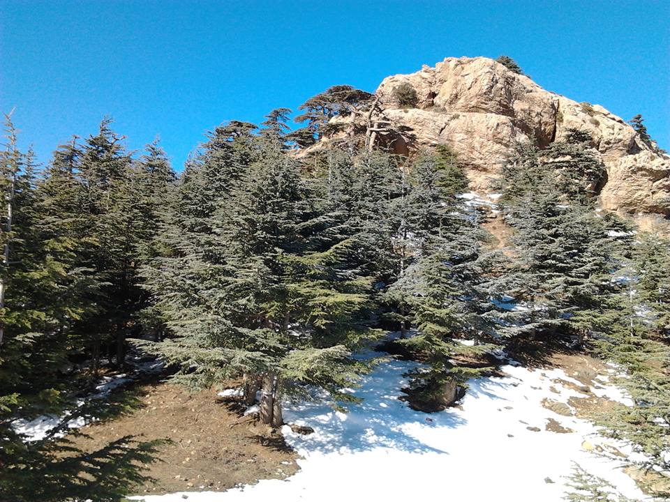 وقفت امام منظر طبيعي بيابوس ولاية خنشلة