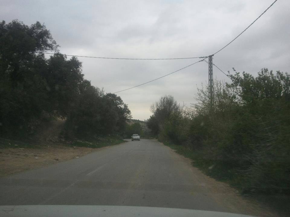 Yabous en plein printemps.