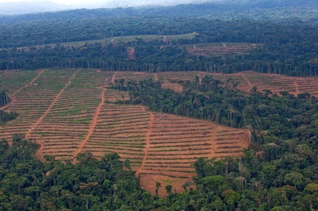 Afrique - Le Liberia, improbable précurseur de la lutte contre la déforestation
