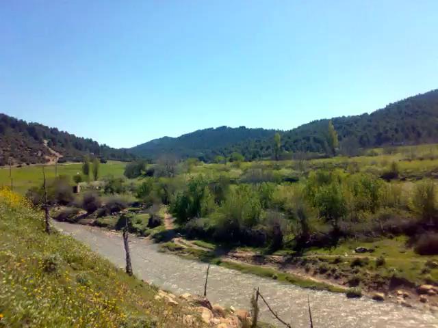 Belle Nature au Printemps A YABOUS   .W. KHENCHELA