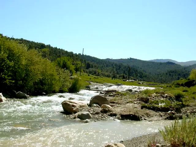 Belle Nature au Printemps A YABOUS   .W. KHENCHELA