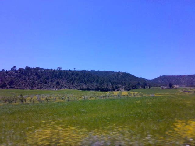 Belle Nature au Printemps A YABOUS   .W. KHENCHELA