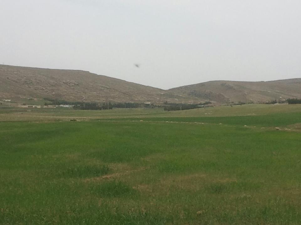 Belle Nature au Printemps A YABOUS   .W. KHENCHELA