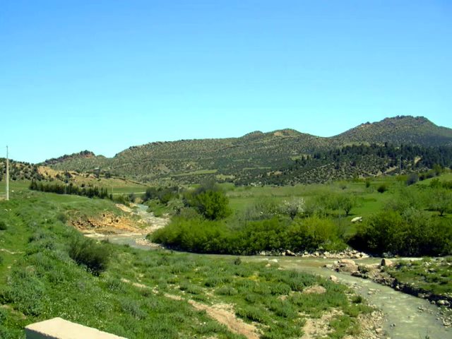 Belle Nature au Printemps A YABOUS   .W. KHENCHELA