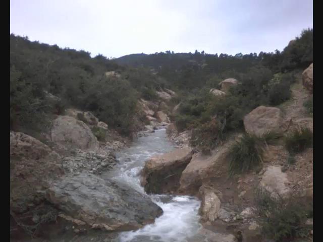 الواد الكبير بيابوس