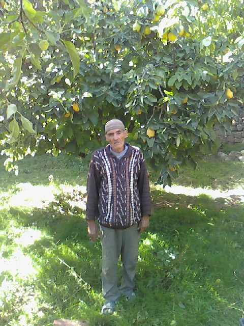 Zéroual Hadj Madjid pendant la cueillette des pommes à Meloudja