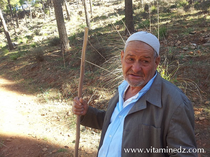 Rencontre avec un vieil homme Fôret du petit perdreau du coté de Sidi Abdellah El Baal vers El Ourit