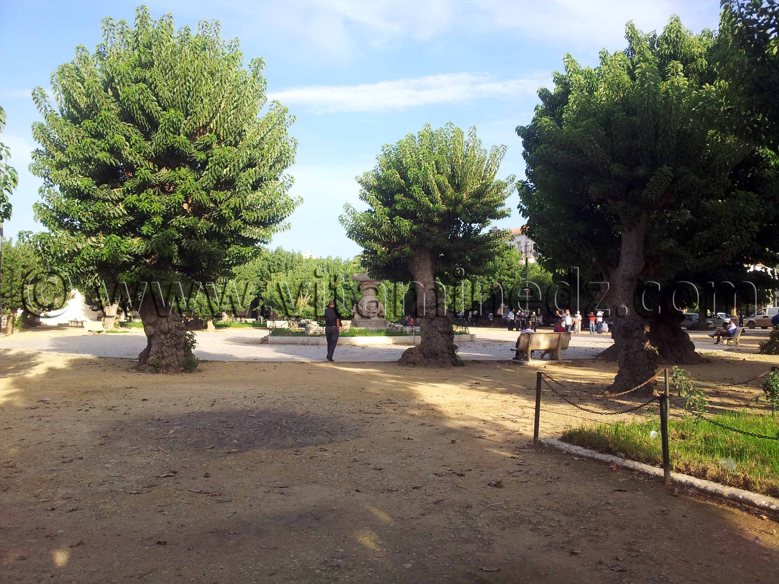 Bellombra , placette de Cherchell , Algérie (Algeria)
