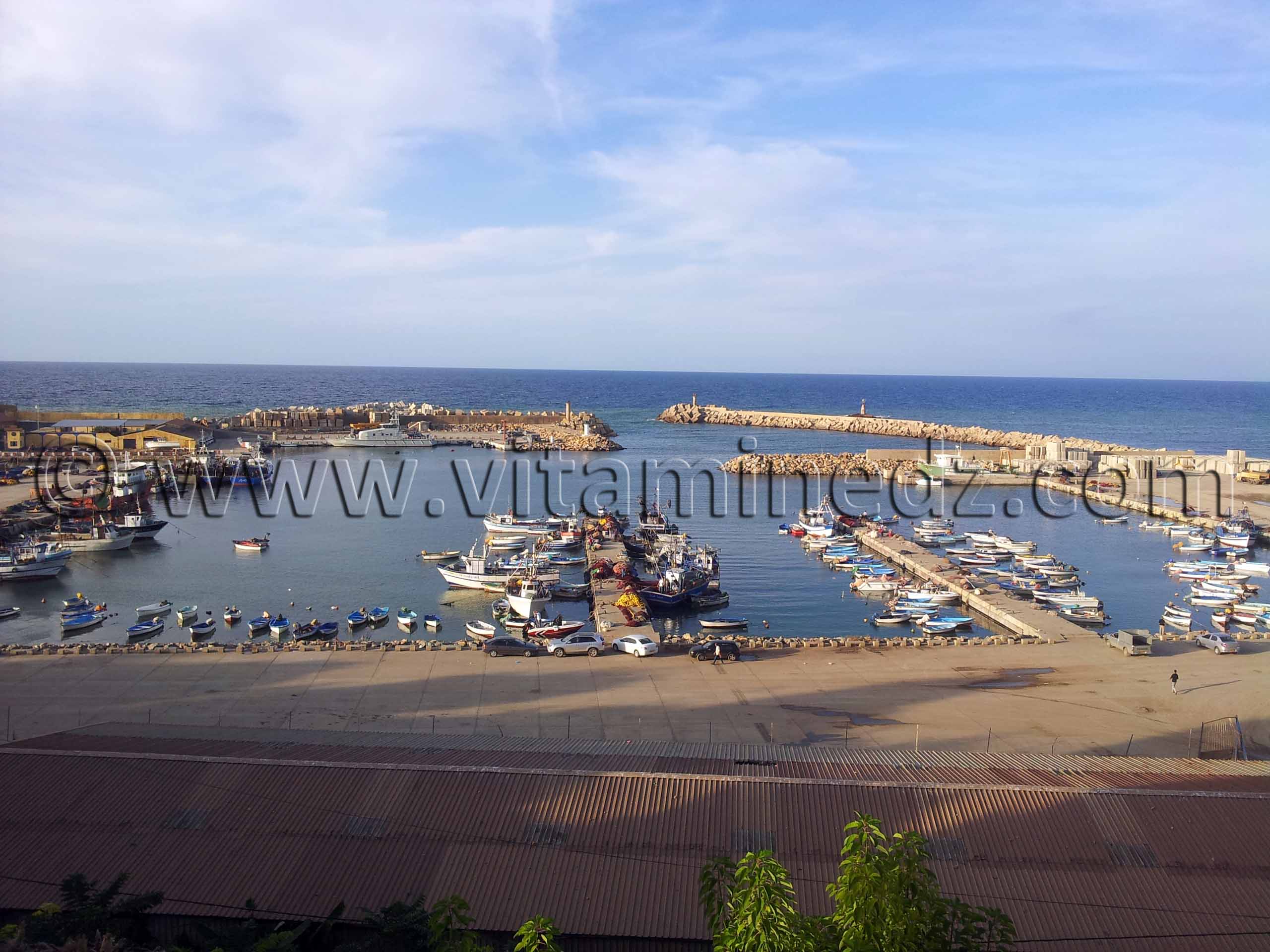 Le port de Cherchell (Caesarée)