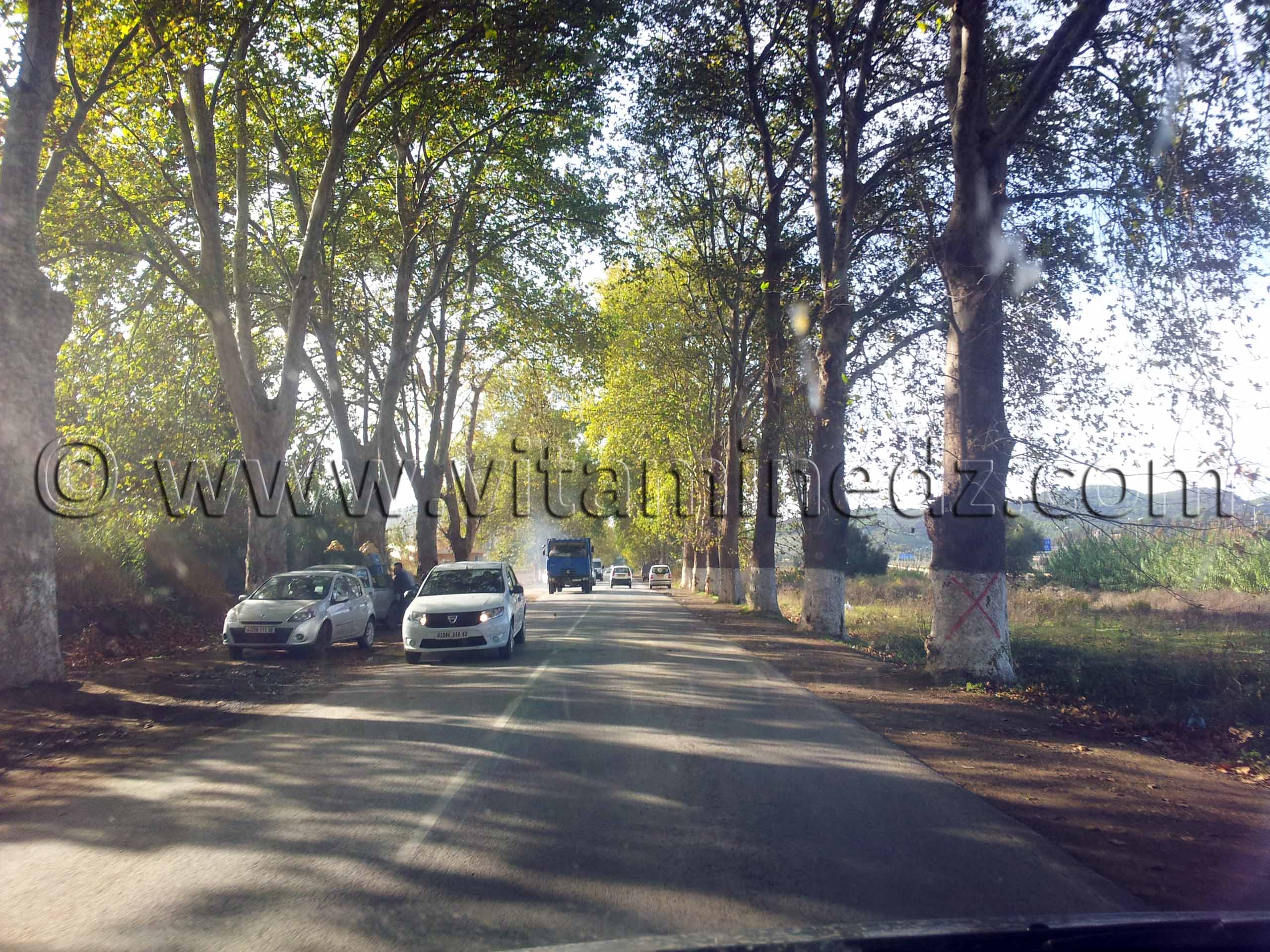 Route vers Cherchell (Caesarée) via Sidi Amar