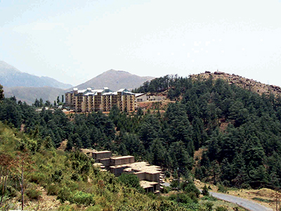 Haizer (Bouira) - Un incendie d’origine criminelle s’y est déclaré:  La cédraie de Tikjda sauvée in extremis