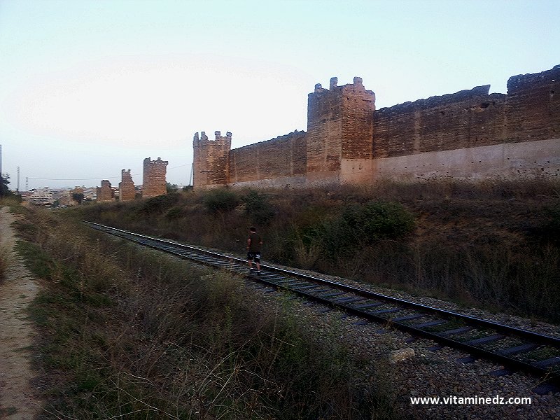 Remparts de Mansourah
