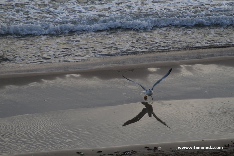 Cap falcon, avec ses plages et ses hôtels