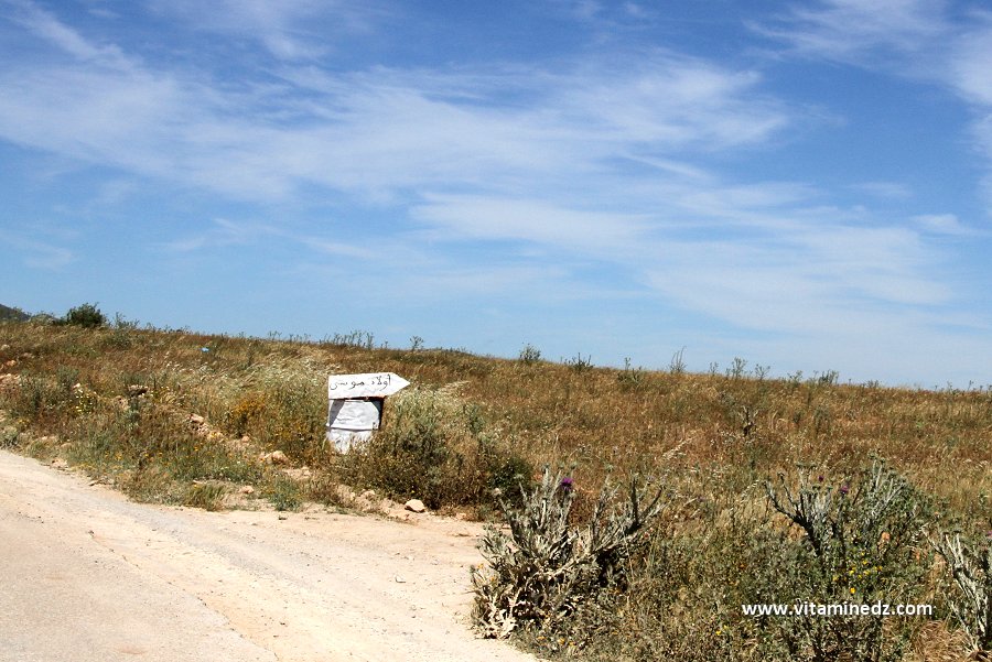 Hammam Boughrara, Ouled Moussa