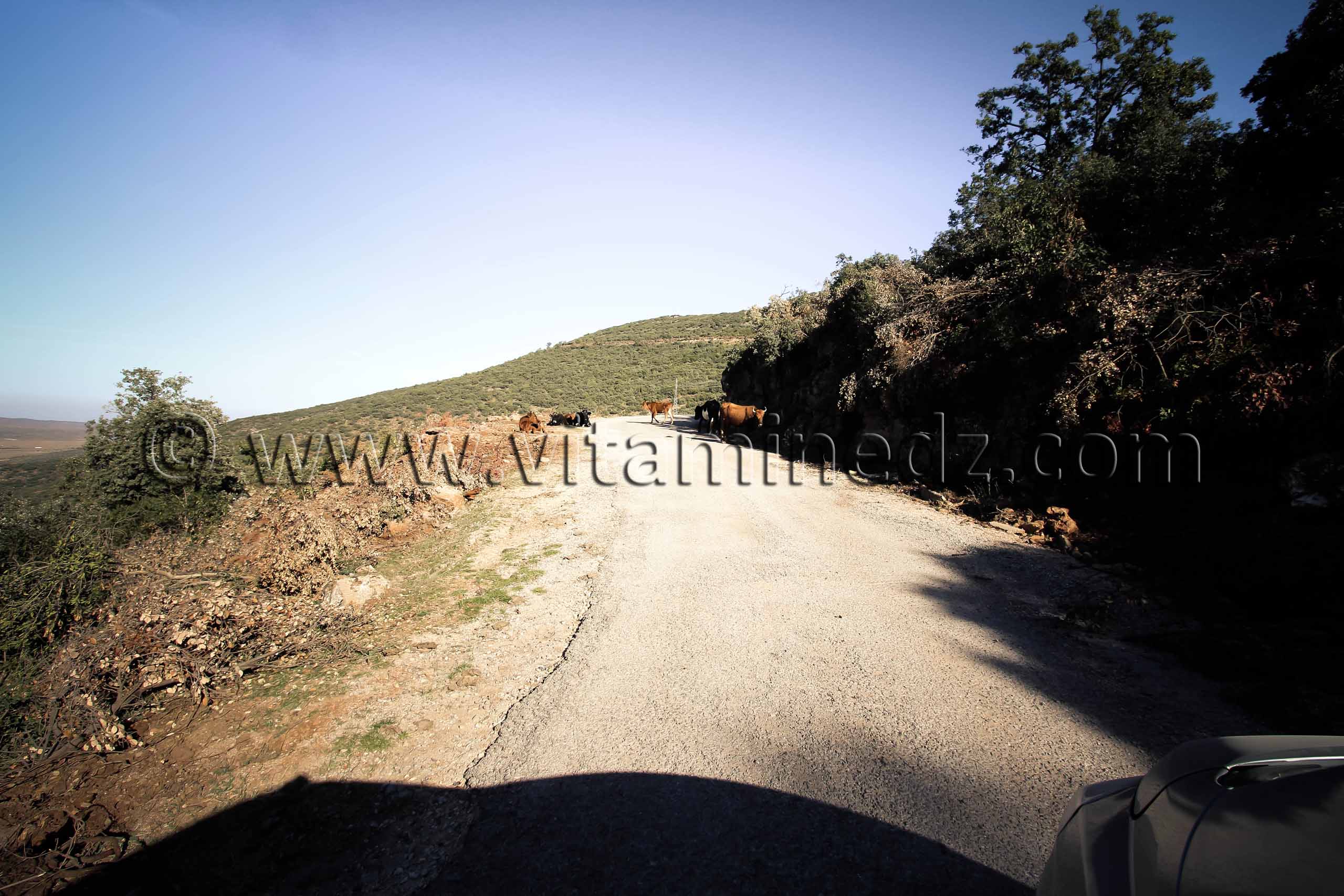 Montée du Djbel Nador