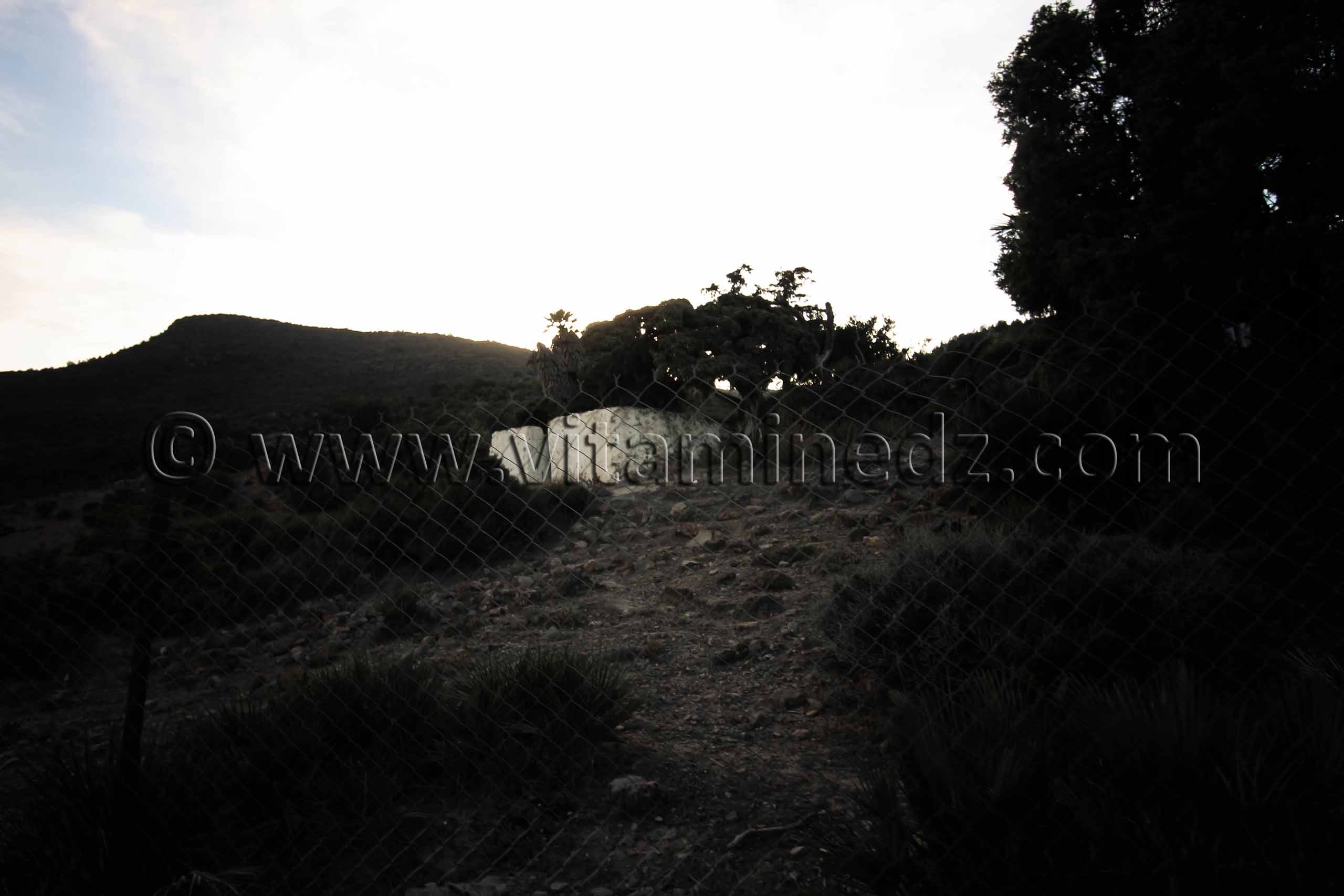 Un Wali à Mezoughan, village berbère de Oued Chouly