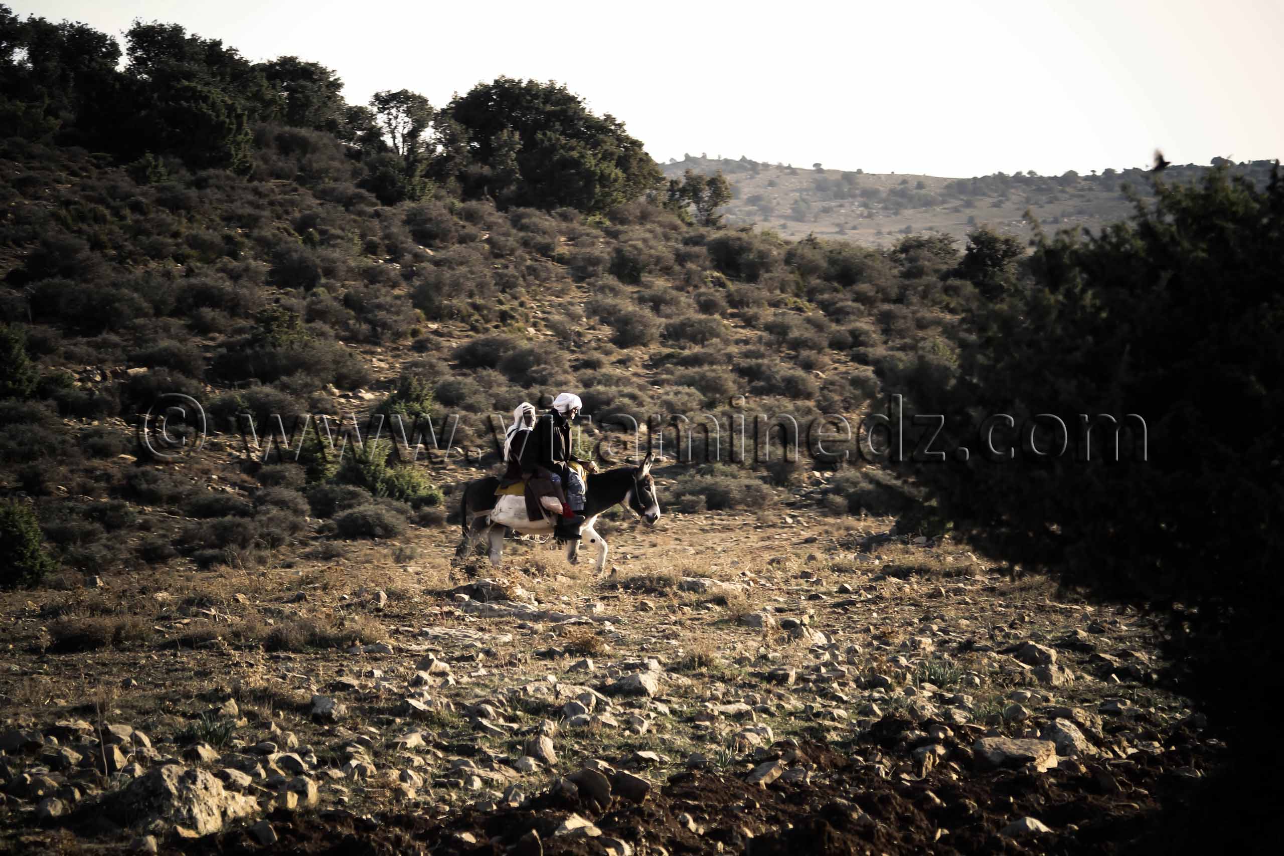 Un couple de vieux oaysans ... Au pays des Beni Ouarnid (Terny, Djbel Nador, Mafrouch, Sidi Hafif ...)