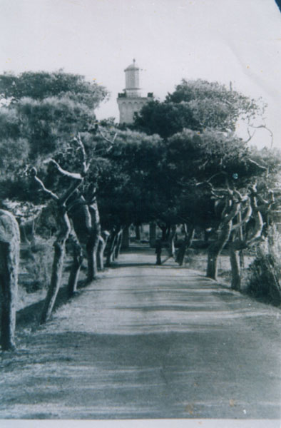 Boumerdes, Dellys Cap Bengut ou le Grand Phare de Dellys