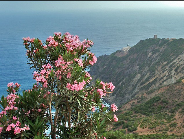 Skikda,  le phare du Cap Bougaroun